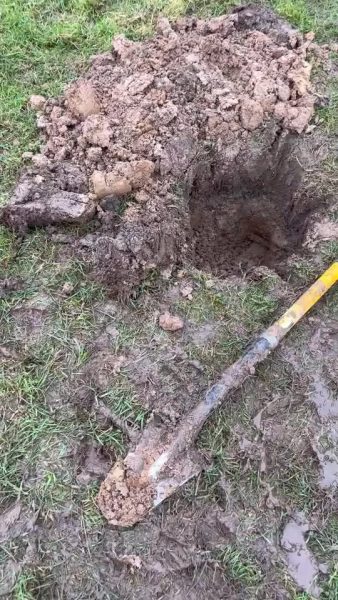 Bronzeaxt mit Equinox 900 gefunden