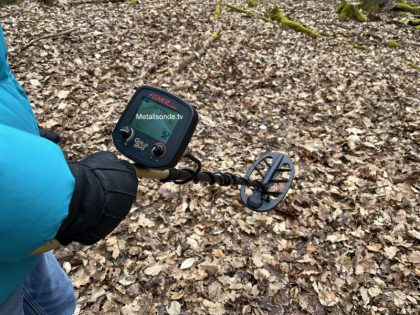 NEU! Fisher Gold Bug EASY POWER