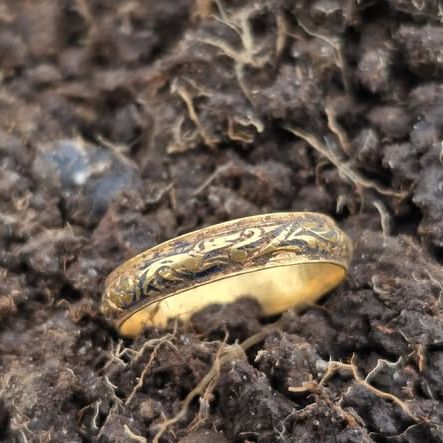Goldring mit Minelab Manticore Metalldetektor entdeckt
